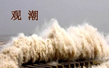 读了观潮心得体会总结优秀7篇