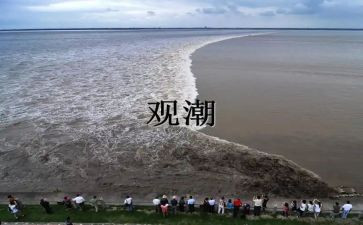 读了观潮心得体会总结参考8篇