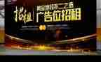 广告的调查报告5篇