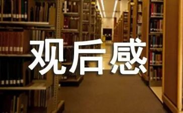 上甘岭观后感作文800字精选8篇