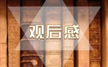 春晚观后感作文8篇