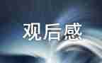 疯动物城观后感8篇