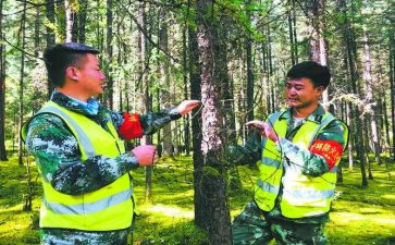 2024年主管护师的个人总结5篇