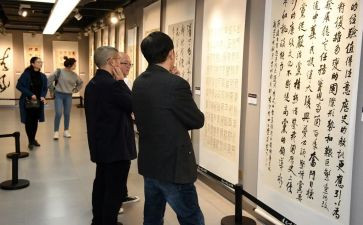 观展总结报告报告最新5篇