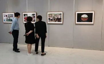 观展总结报告报告通用6篇