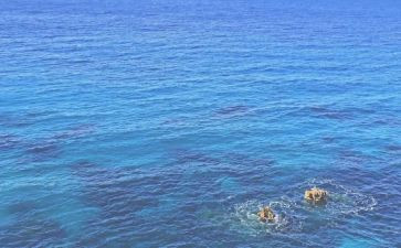 海模培训总结优质8篇