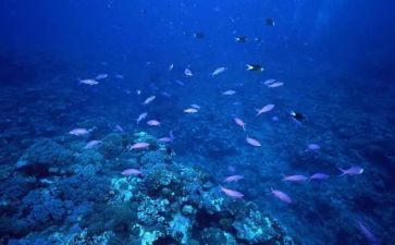 海底两万里1章读后感7篇
