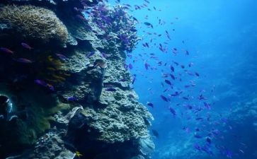 海底两万里300字读后感通用5篇