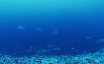 海底两万里满分读后感8篇