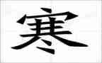 社会寒假实践活动个人总结800字8篇