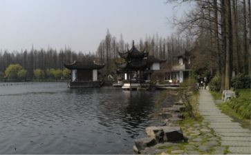 杭州旅游心得6篇
