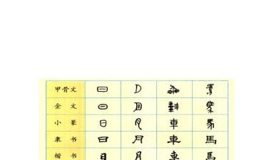 有汉字的故事读后感8篇