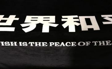 为了和平心得5篇