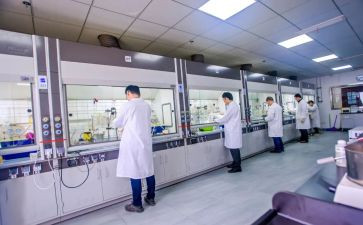 2024年化验室年终工作总结模板5篇