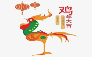 《母鸡》读后感5篇