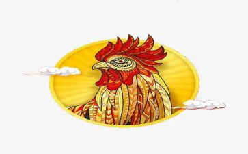 假如我是一只鸡作文8篇