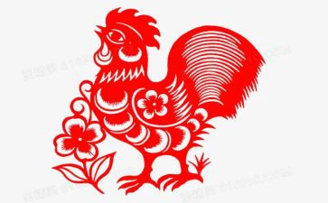假如我是一只鸡作文400字7篇