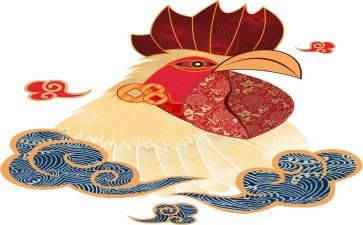 我是一只鸡作文400字8篇