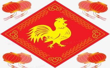 关于鸡的调查报告通用5篇