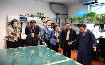 居委会监委会述职报告优秀8篇