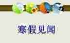 春节见闻作文400字5篇