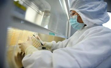 检验师个人总结报告6篇