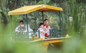 郊游教案反思6篇