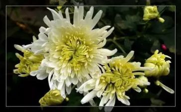 清明节祭奠英烈活动总结6篇