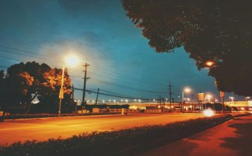 关于街头调查报告5篇