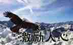 公司对员工激励的演讲稿7篇