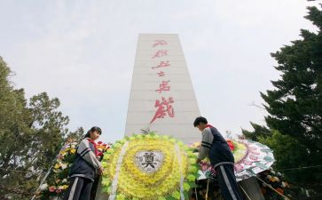 祭烈士墓作文最新8篇