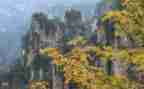 中秋写景的作文8篇