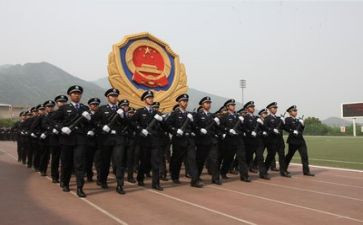 警察个人总结工作总结5篇