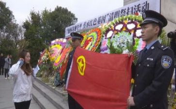 清明节祭扫活动方案优质8篇