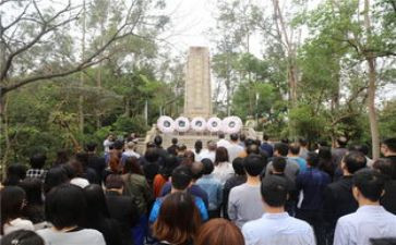 清明节祭扫活动方案6篇