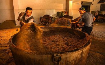 酒调查报告范文通用7篇