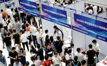 就业和培训总结5篇