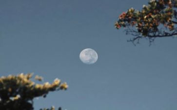 大班九月总结6篇