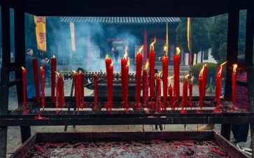 清明祭祖从我做起的演讲稿7篇
