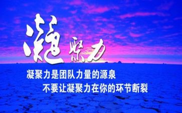 团队凝聚力心得体会6篇