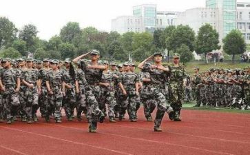 军训心得体会800字优秀8篇