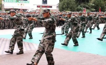 2022军训总结报告8篇