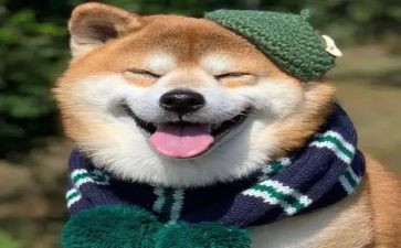 开心的六一儿童节作文5篇