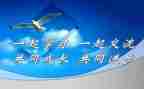 教师课改心得体会优质6篇
