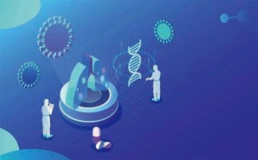 脑科学读后感最新8篇