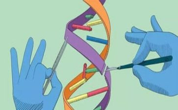 幼儿园中班科学教学总结6篇