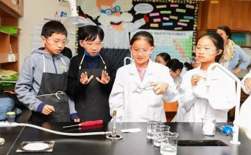 小学科学课期末总结6篇