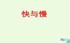 快与慢演讲稿800字5篇