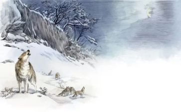 狼王梦四百字读后感6篇