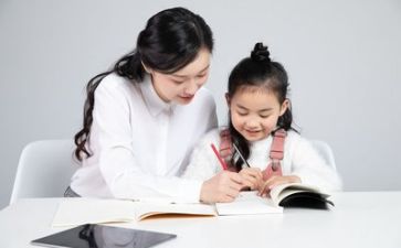 老师个人年度总结精选6篇